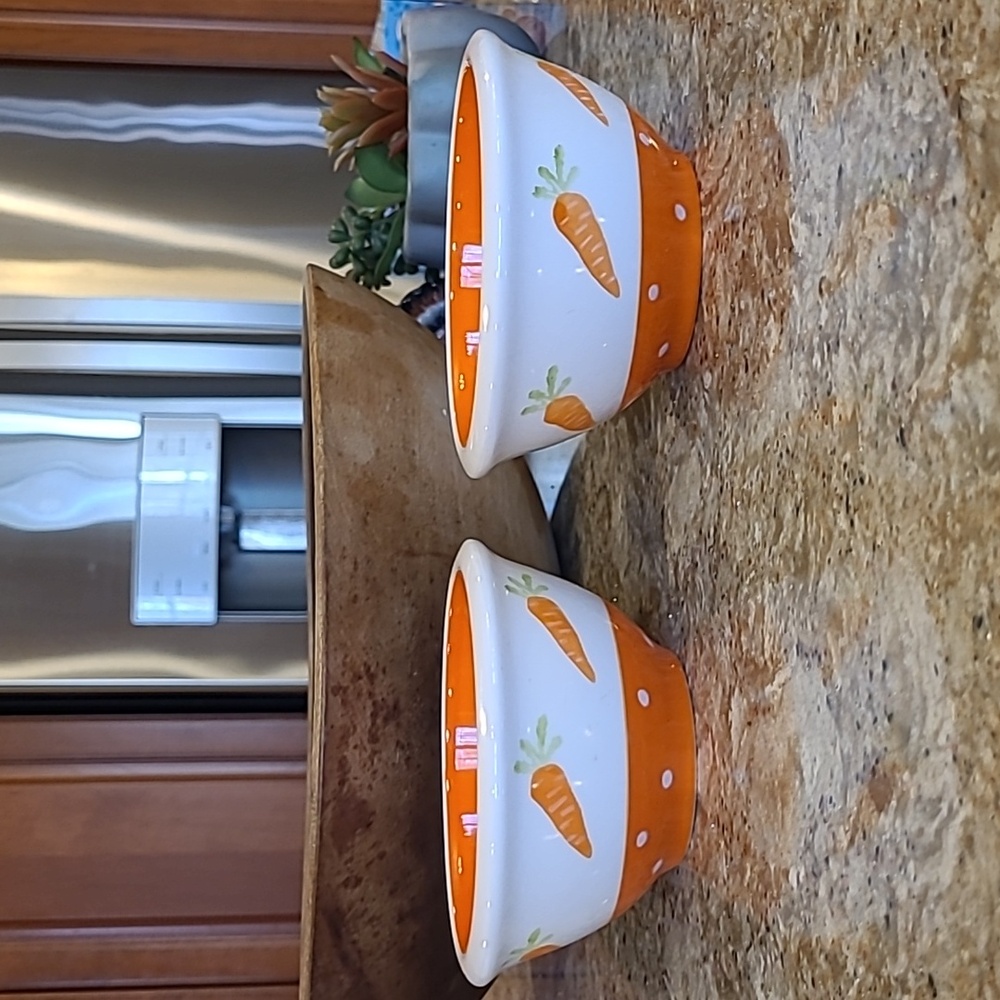 Terramoto Ceramic Custard Bowls Spring Carrots Easter